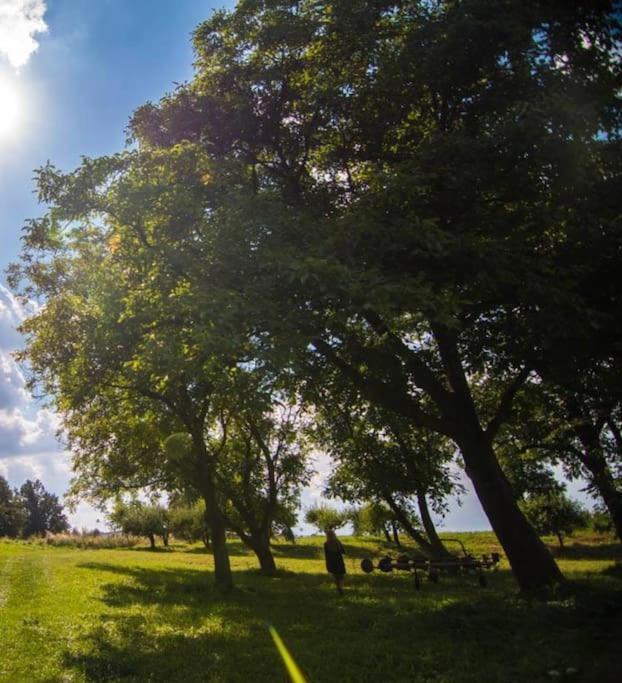 Swietokrzyskie Stodola Kasztanowa Aleja Holiday home Radkowice