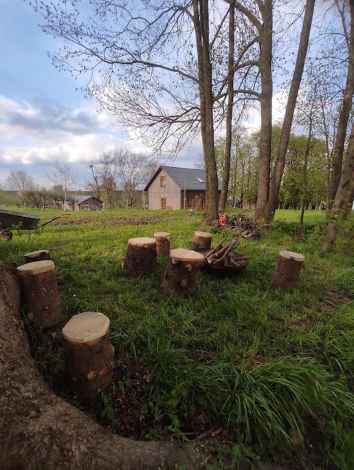 Swietokrzyskie Stodola Kasztanowa Aleja * Radkowice